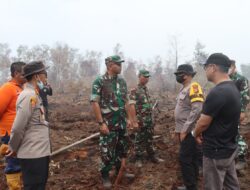 Danrem 031/Wira Bima Tinjau Pemadaman Karhutla di Dumai, Sinergi TNI-Polri dan Pemda Diperkuat 6 IMG 20260325 WA0006