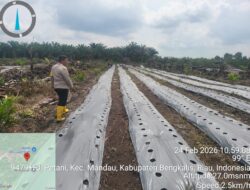 Polsek Mandau Tinjau Pengelolaan Lahan Jagung Program Asta Cita Presiden di Air Kulim 5 IMG 20260519 WA0011