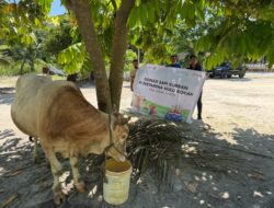 *Gema Takbir di Zona Rokan: Ratusan Hewan Kurban PHR Alirkan Kebahagiaan hingga ke Pelosok Desa* 6 IMG 20260528 WA0003