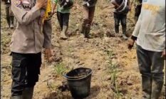 Polsek Mandau Dorong Pemanfaatan Lahan Tidur untuk Ketahanan Pangan di Bathin Betuah